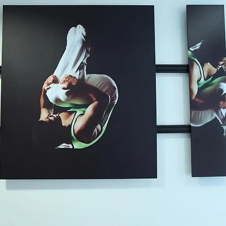 Отель Lindner Frankfurt Sportpark, Part Of Jdv By Hyatt